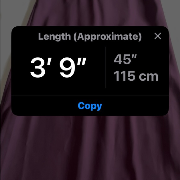 Elegant Michelangelo Purple Evening Dress - Picture 8 of 11